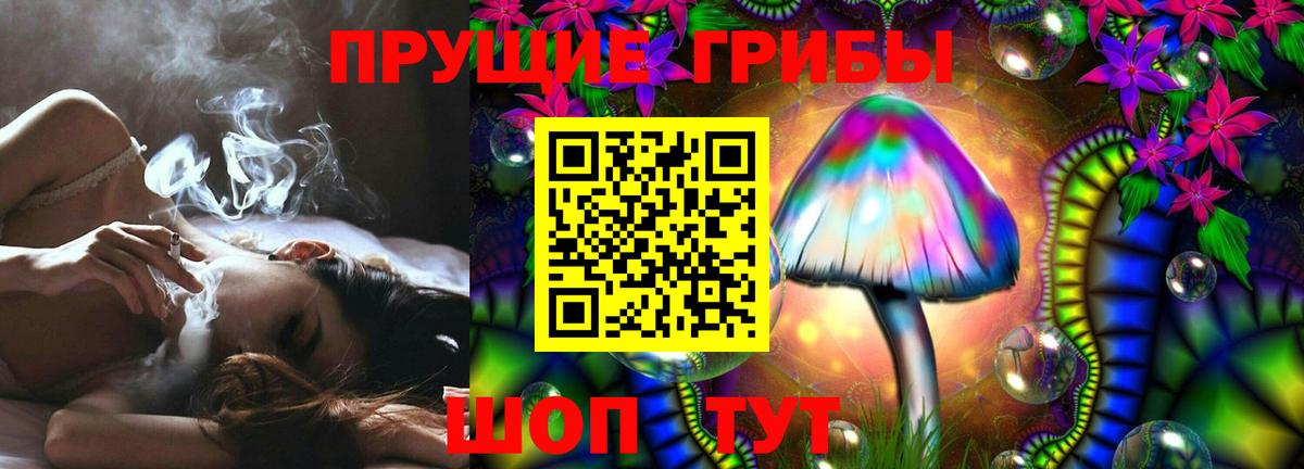 Псилоцибиновые грибы GOLDEN TEACHER Качканар